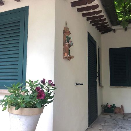B&B Uva Fragola Perugia Dış mekan fotoğraf