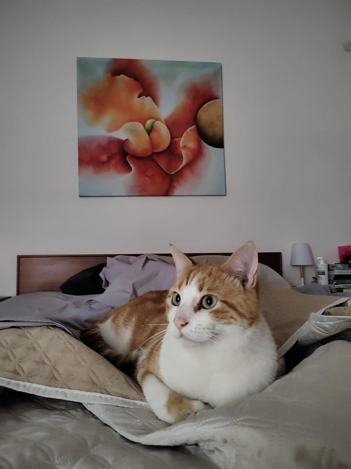 B&B Uva Fragola Perugia Dış mekan fotoğraf